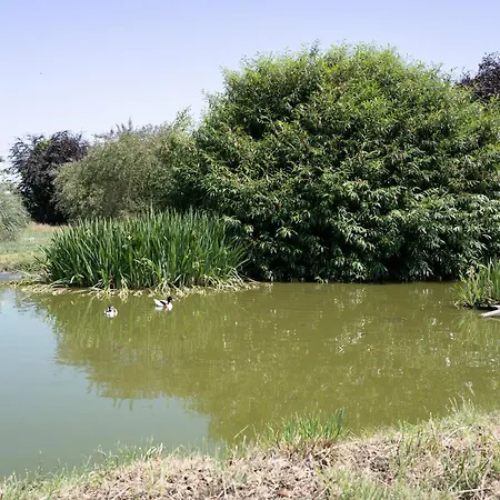 Tatil Evi Xl 4 Stars Dieppe Normandie